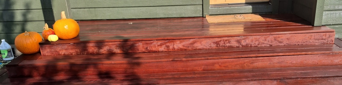 Ipe deck Refinish