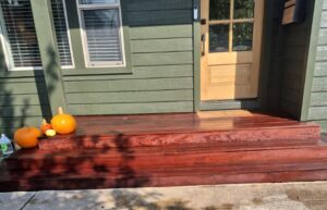 Clean and refinish the existing Ipe deck by applying fresh Ipe stain to restore its natural color and protect it from weather damage.